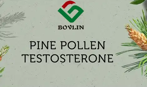 Can Pine Pollen Powder Naturally Boost Testosterone Levels?